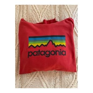 LIMITED EDITION: Men’s Patagonia Sweatshirt
